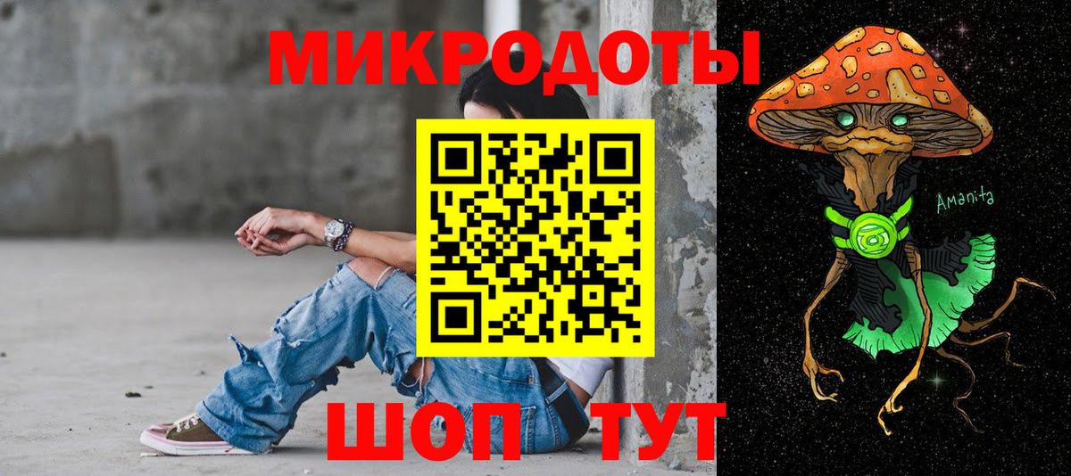 Коркино  магазин продажи наркотиков  Вход с VPN  Псилоцибиновые грибы Psilocybe 