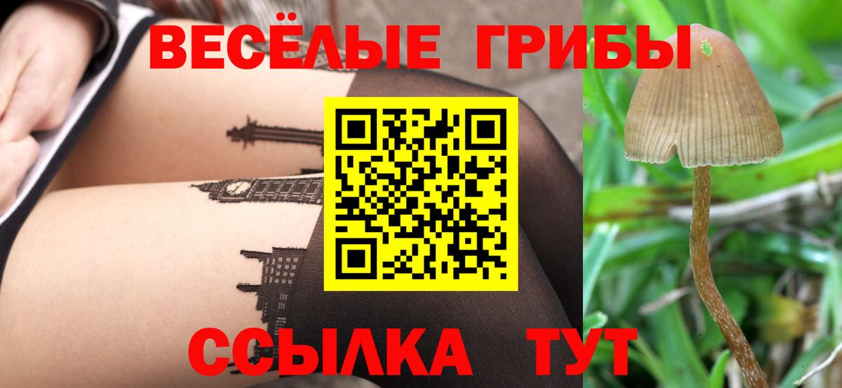 Псилоцибиновые грибы GOLDEN TEACHER Коркино